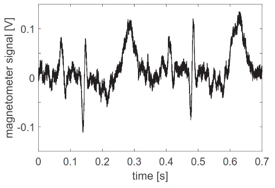 Example of a magnetometer signal (without averaging) in volts when a guinea-pig heart is placed close to the magnetometer