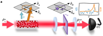 Hybrid spin-optomechanical system in which a joint measurement of the spin (S) and mechanical (M) systems realizes quantum backaction cancellation. This allows for measurement of the mechanical motion in the negative-mass reference frame provided by the spin system. It also allows for the generation of quantum entanglement between the two subsystems.