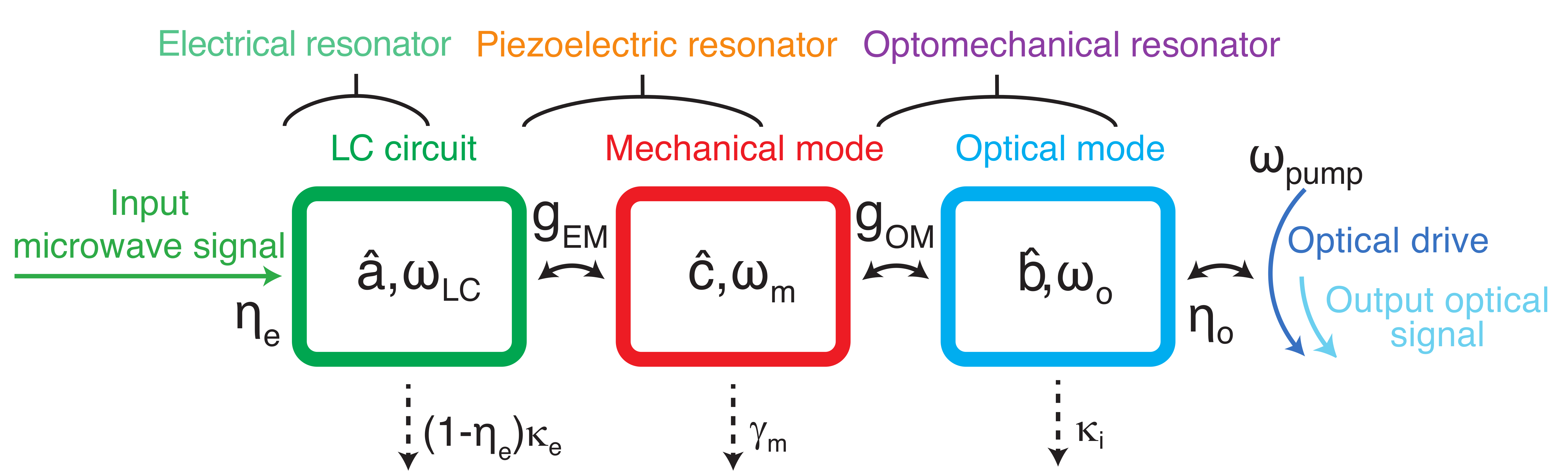 Electro-optomechanical transduction chain in which a mechanical mode acts as an intermediary between microwave and optical frequencies.